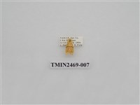 藏品(梯紋豔苔蛾)的圖片